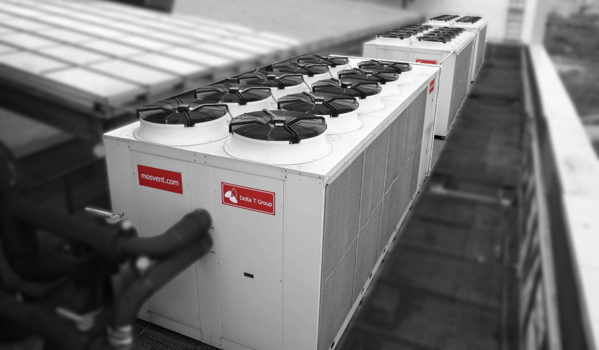 alt-text картинки